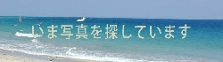 写真は準備中