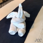 #クアンタムオブザシーズ #タオルアニマル #ロイヤルカリビアン #クルーズ #船旅 #quantumoftheseas #towelanimal #royalcaribbean #cruise #i2w #cruiselife #cruiseaddict #travel #instacruise #cruiseblogger #cruisegram