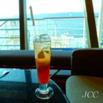 #ダイヤモンドプリンセス #クルーズ #船旅 #diamondprincess #princesscruise #cruise #cruisevacation #cruiselife #cruiselover #cocktail #instacocktail #cruiseaddict #🍸